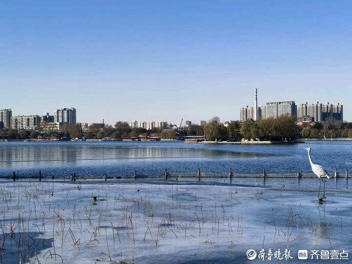 难得一遇的冬季美景,济南大明湖结冰了